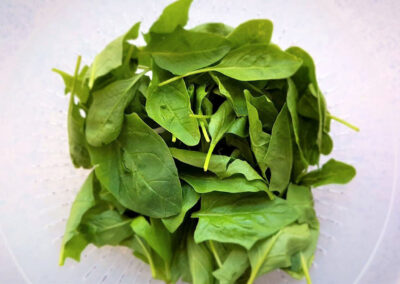 spinach leaves